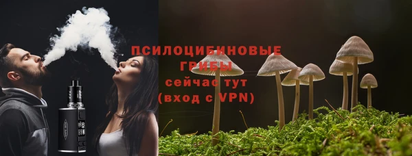 ешки Армянск
